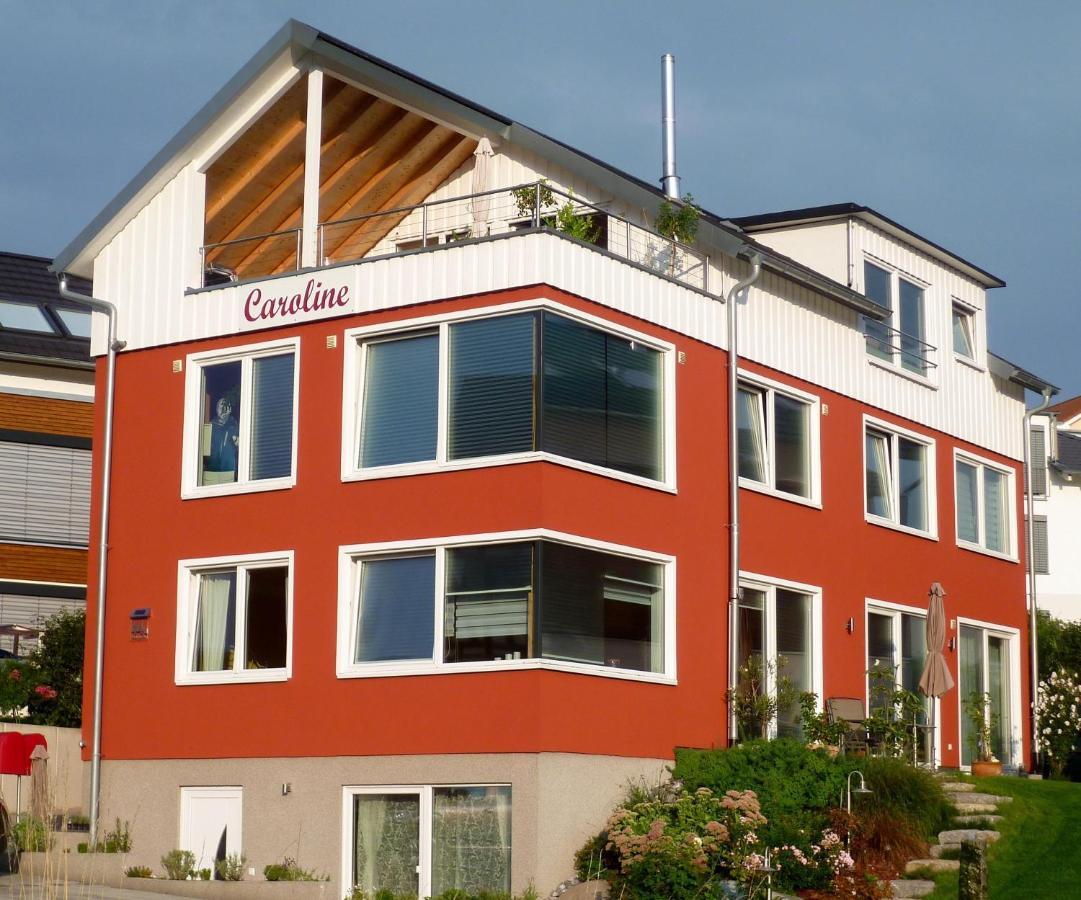 Ferienwohnung Erdgeschoss ユーバーリンゲン エクステリア 写真
